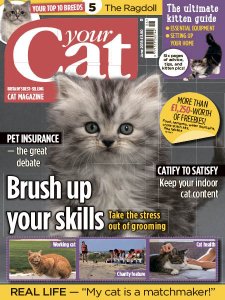 Your Cat - 06.2018