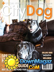 CityDog - Fall 2017