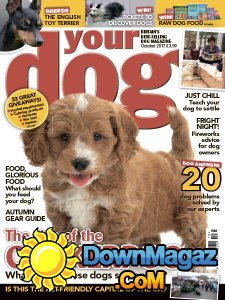 Your Dog - 10.2017