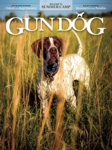 Gun Dog - Summer 2021