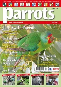 Parrots - 07.2022