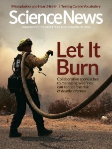 Science News - 04.20.2024