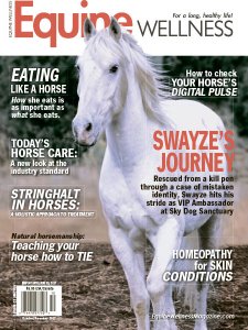 Equine Wellness - 10/11 2017