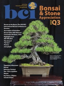 Bonsai & Stone Appreciation - 07/09 2024