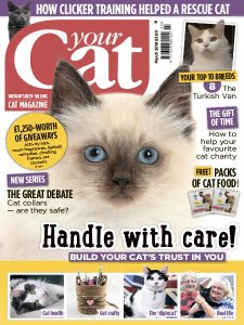 Your Cat - 03.2018