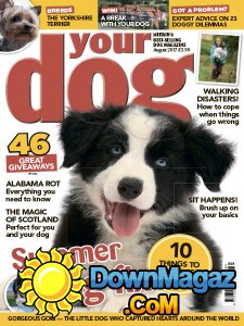 Your Dog - 08.2017