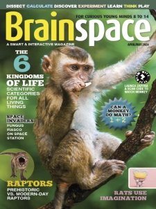 Brainspace - 04/05 2024