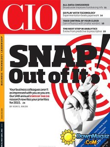 CIO - 01 January 2015