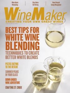 WineMaker - 06/07 2025