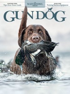 Gun Dog - 10.2021