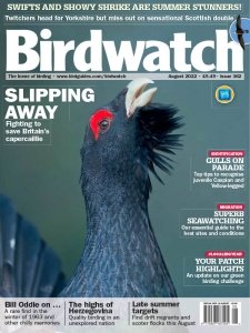 Birdwatch UK - 08.2022