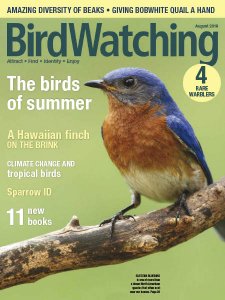 BirdWatching - 07/08 2018