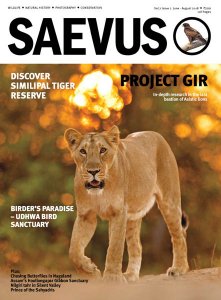 Saevus - 06/08 2018