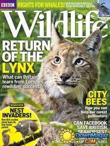 BBC Wildlife - Spring 2015