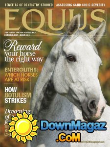 Equus - 10.2017