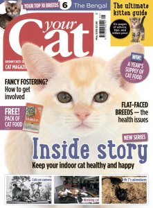 Your Cat - 05.2018