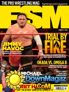 Fighting Spirit - Issue 147 2017