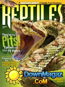 Reptiles - 05/06 2017