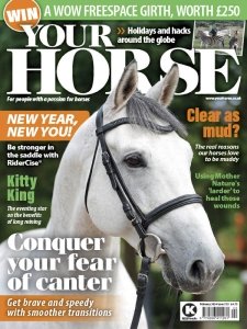 Your Horse - 02.2024