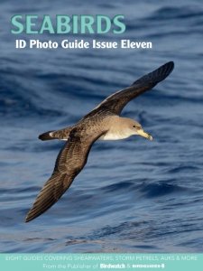 Bird ID Photo Guide - Is. 11 2023