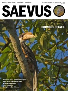 Saevus - 12/02 2022