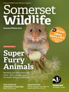 Somerset Wildlife - Autumn/Winter 2023