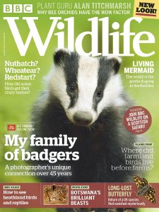 BBC Wildlife - 07.2018