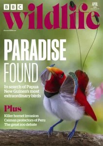 BBC Wildlife - 04.2025