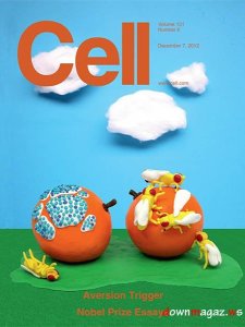 Cell - 7 December 2012