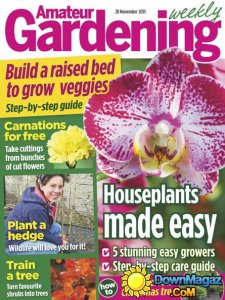 Amateur Gardening UK – 28 November 2015