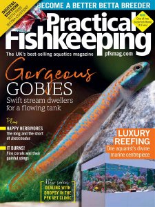 Practical Fishkeeping - 04.2020