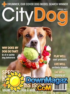 CityDog - Spring 2017