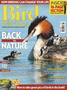 Bird Watching UK - 08.2020