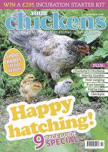 Your Chickens - 03.2018