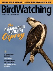 BirdWatching USA - 05/06 2021