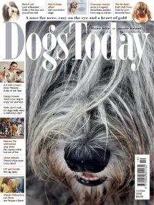 Dogs Today UK - 10.2022