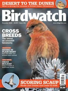 Birdwatch UK - 11.2025