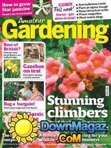 Amateur Gardening - 01.07.2017