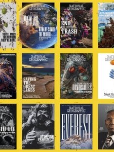 National Geographic USA - 2020 Full Year