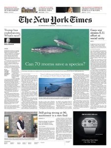 New York Times Int - 11.18.2024