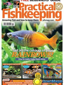 Practical Fishkeeping - 01.2017