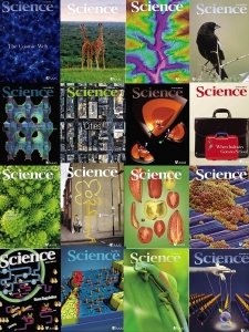 Science - 2008 Full Year