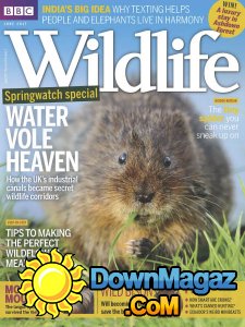 BBC Wildlife - 06.2017