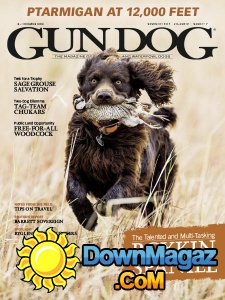 Gun Dog - 11.2017