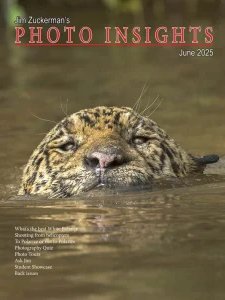 Photo Insights - 06.2025