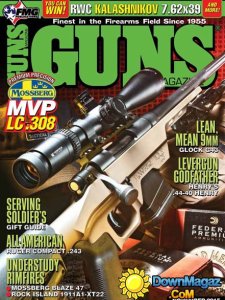 Guns USA - November 2015