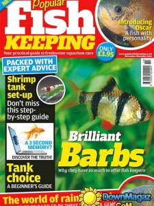 Popular Fish Keeping - November/December 2013