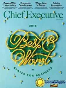 Chief Executive USA – May/June 2015