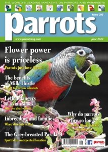 Parrots - 06.2022