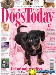 Dogs Today - March 2015